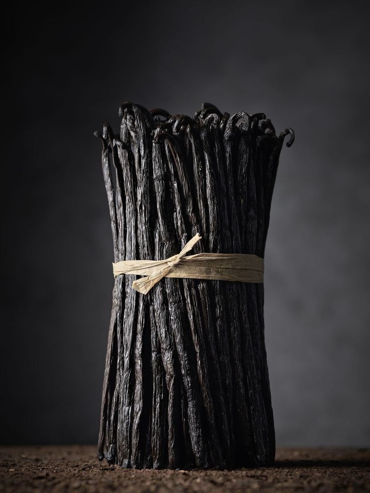 Bundle of cured Indonesian vanilla beans tied with natural fiber for Vanilla Atlas sourcing