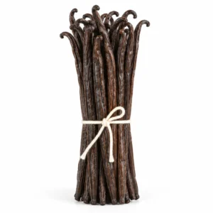A bundle of brown to dark brown vanilla beans tied with twine on a white background.