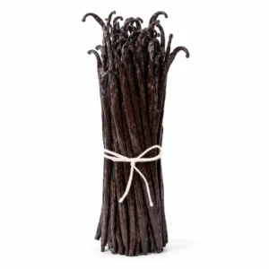 A bundle of dark vanilla beans with a glossy surface, tied with twine on a white background.