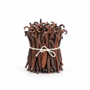 A bundle of short brown vanilla beans, including visible cut ends, tied with twine on a white background.
